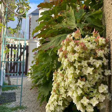 Tatil Evi Maison Proche De La